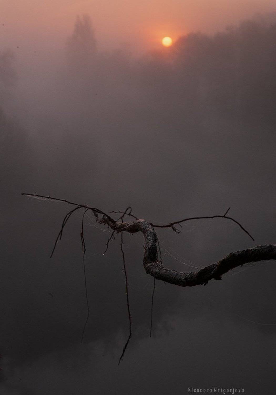 , Eleonora Grigorjeva