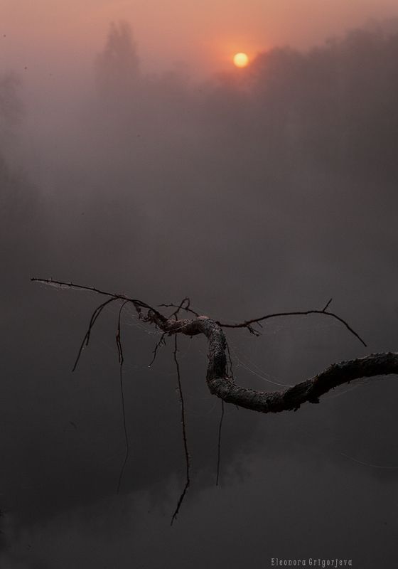 Туманный рассвет фото превью