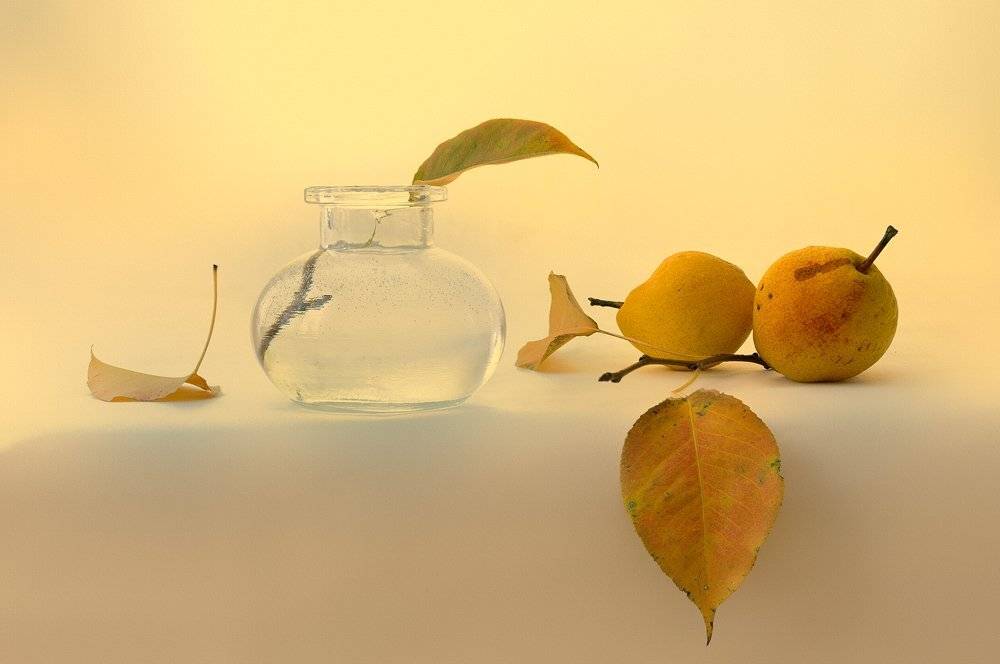 , Анжелика Королева