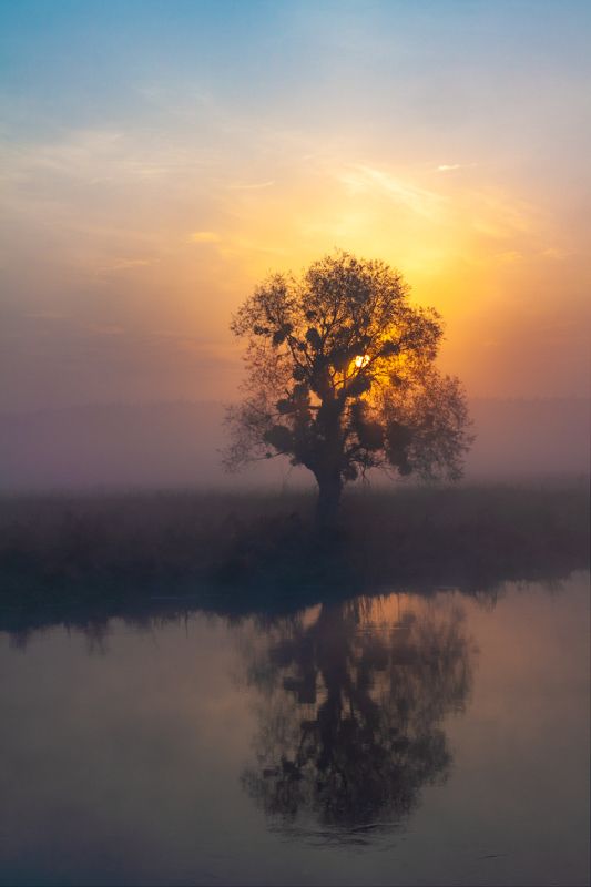 Утро в октябре фото превью