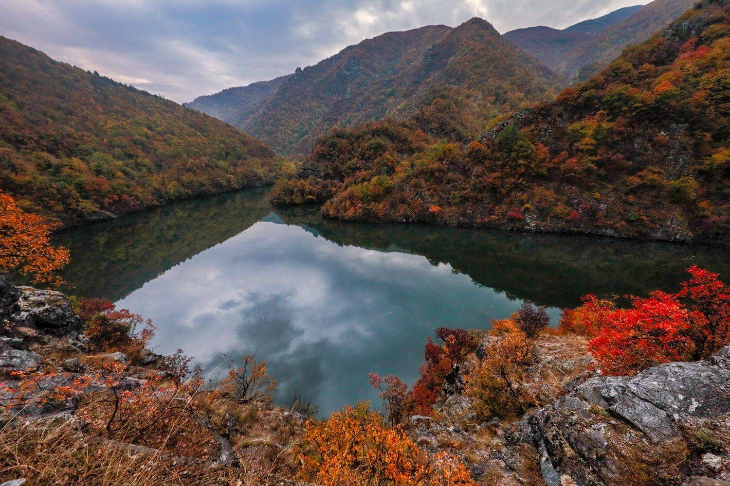 , Тодор Божков