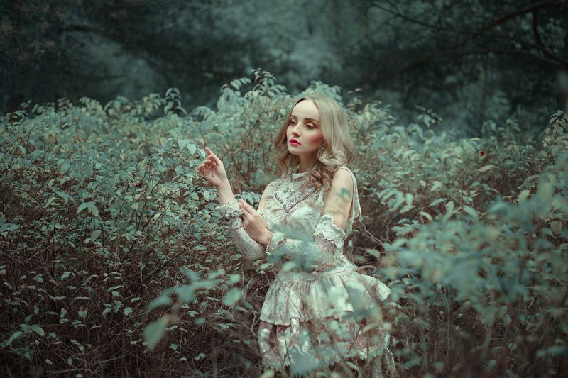 София фото превью