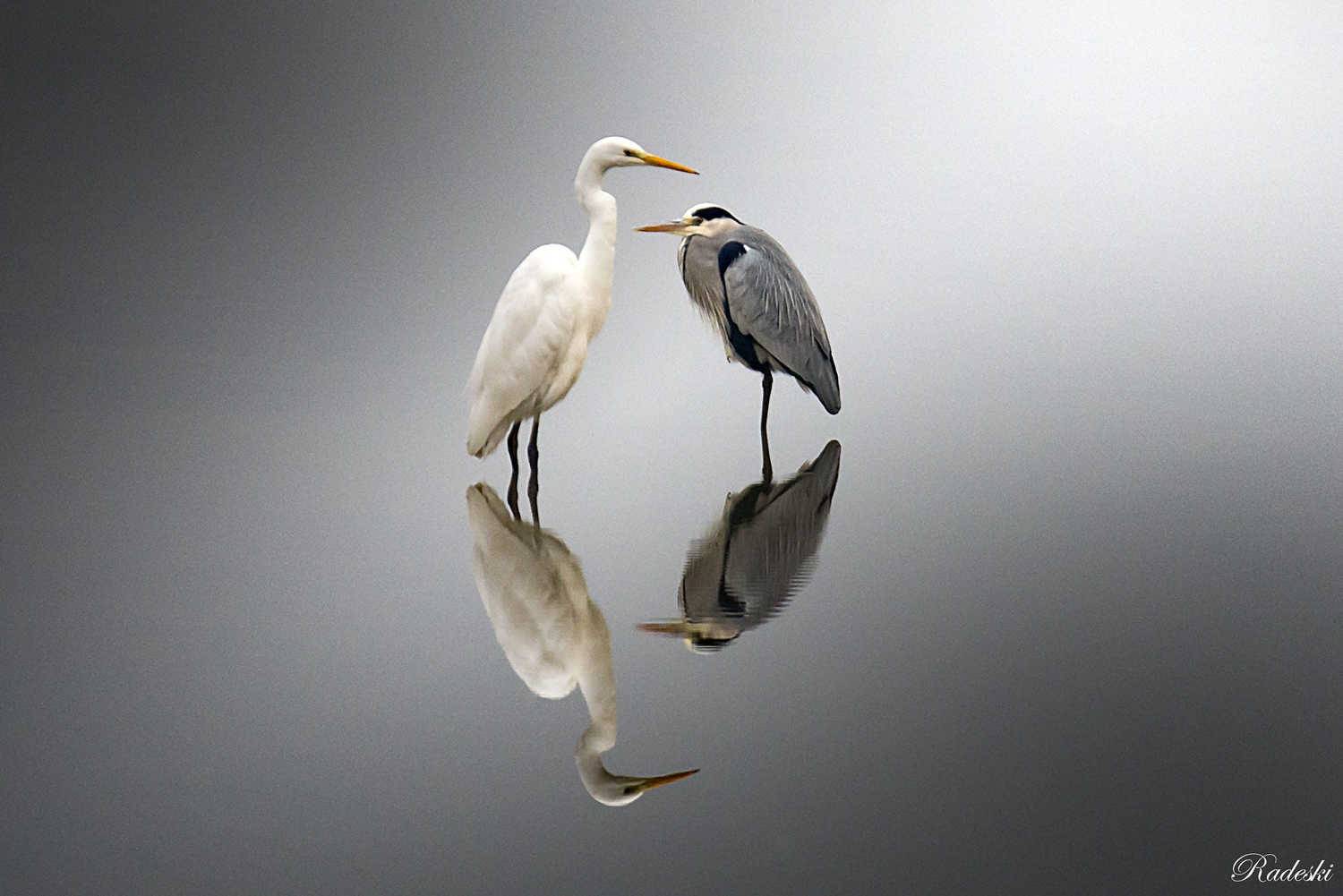 , Roberto Aldrovandi