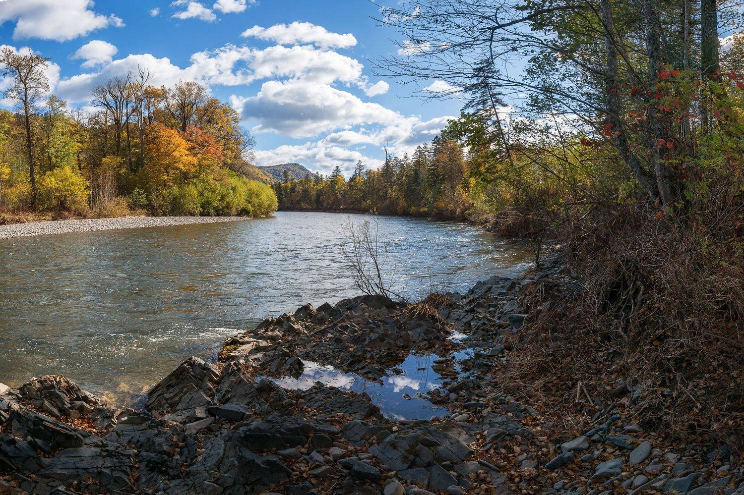 , Шинкарева Елена