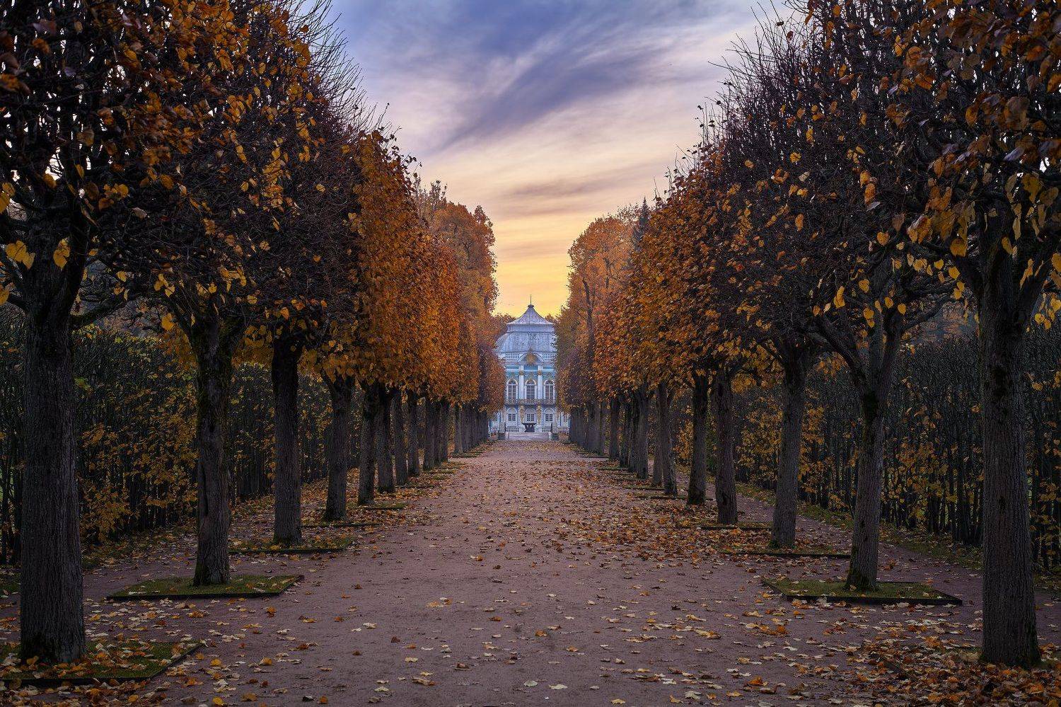 пушкин, царское село, аллея, осень, октябрь, листопад, парк, KrubeK
