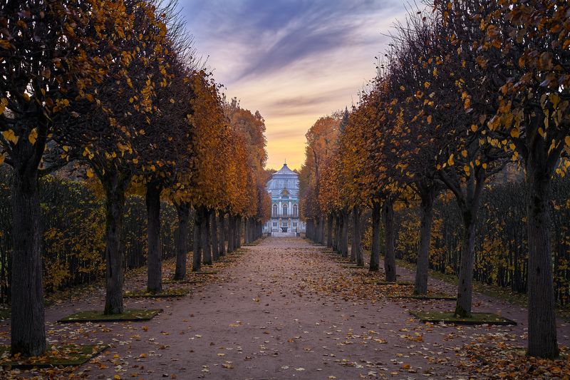 пушкин, царское село, аллея, осень, октябрь, листопад, парк Осенняя симметрия у павильона Эрмитаж фото превью