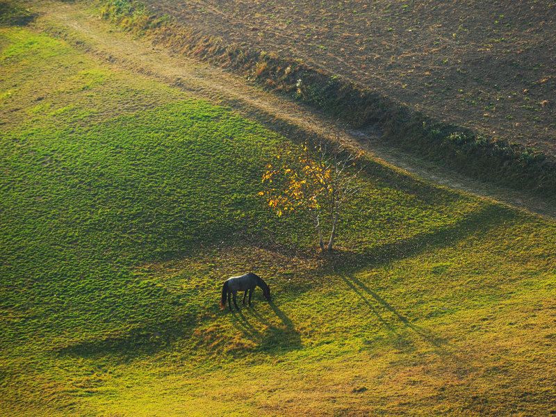 Autumn 2018 фото превью
