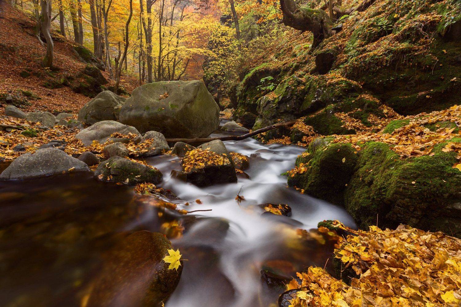 , Александър Сандев