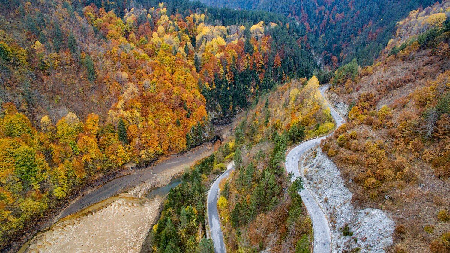 , Тодор Божков