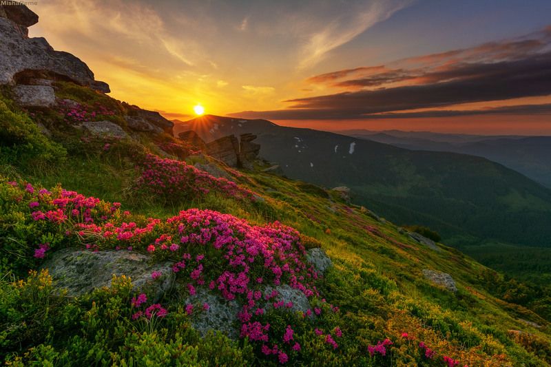 Summer in Carpathians фото превью