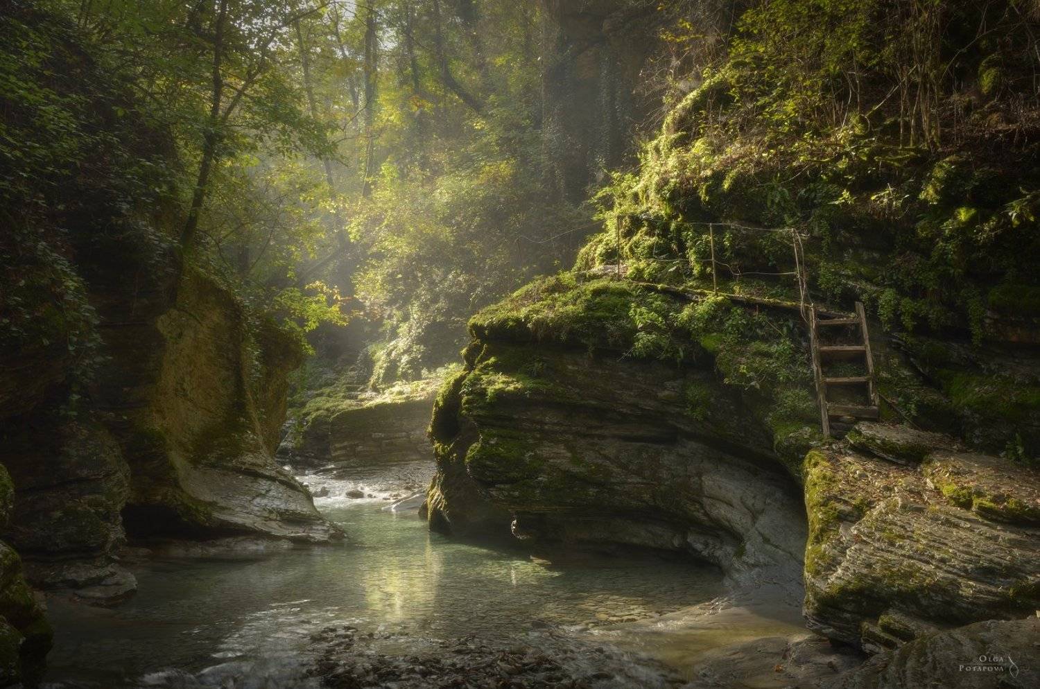 краснодарский край, индюк, бешенка, букепка, таштай, каньон, река, южный лес, лес, Степаненко Ольга