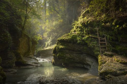 В лесах Краснодарского края