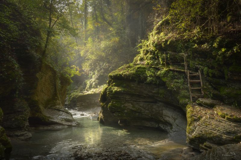 краснодарский край, индюк, бешенка, букепка, таштай, каньон, река, южный лес, лес В лесах Краснодарского края фото превью