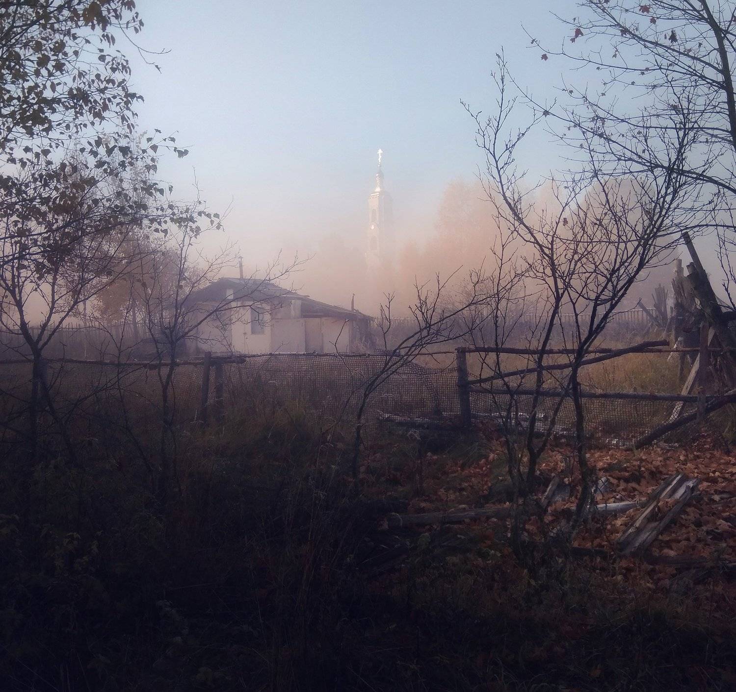 , Александр Пархоменко