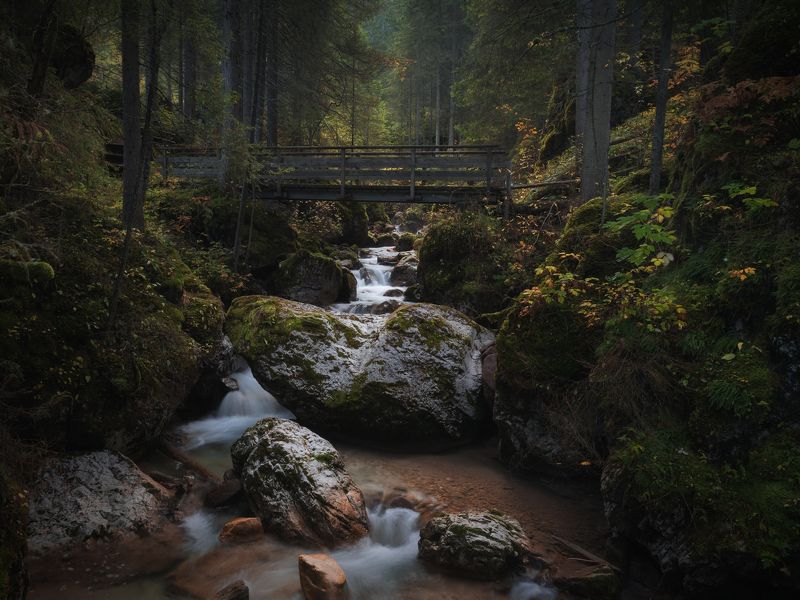 италия, доломиты, осень, ручей, водопад, мост,  carezza, вода Дорога к озеру Carezza фото превью