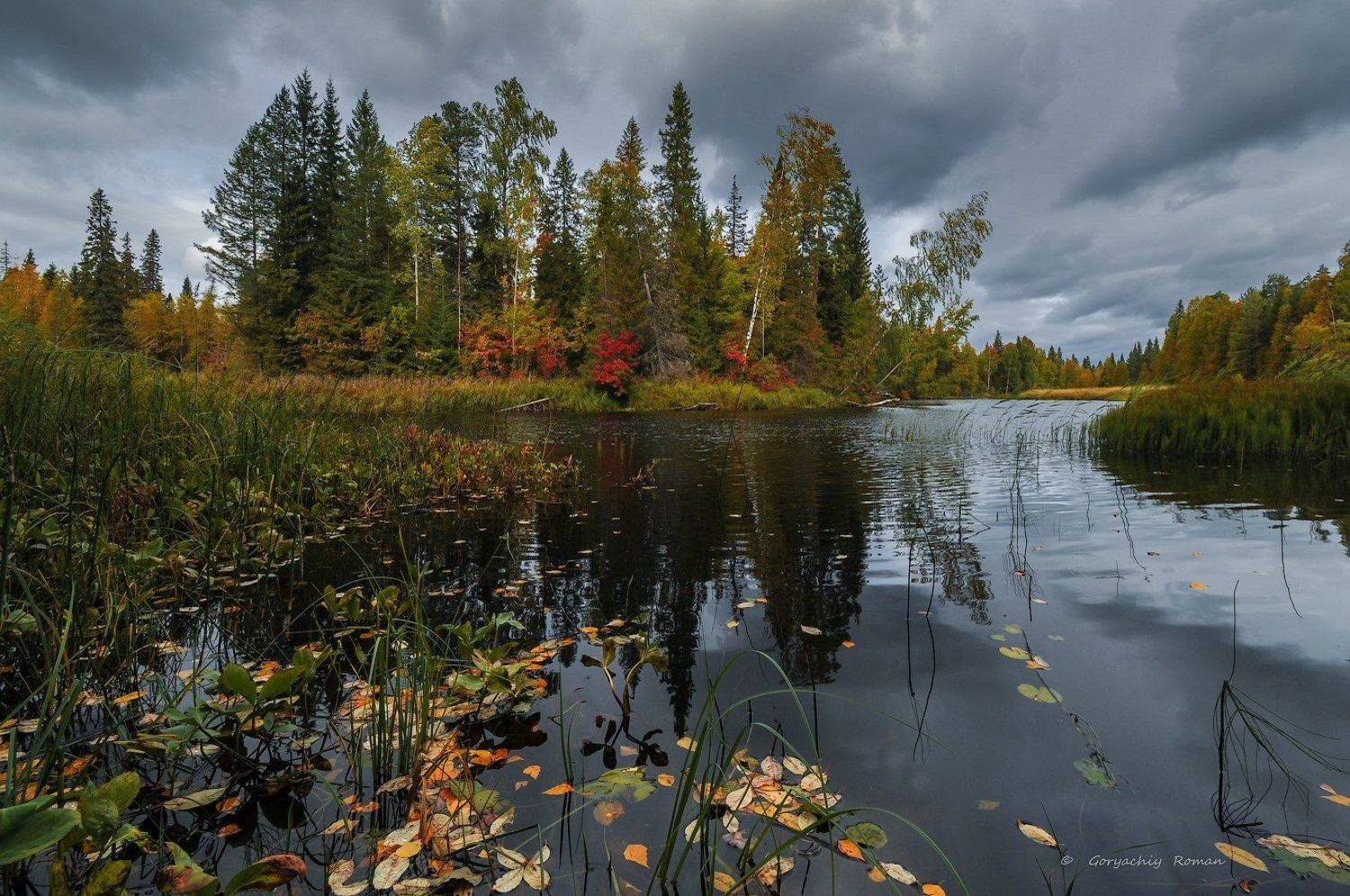 великий двор,вологодчина,кема,север,осень,, Роман Горячий