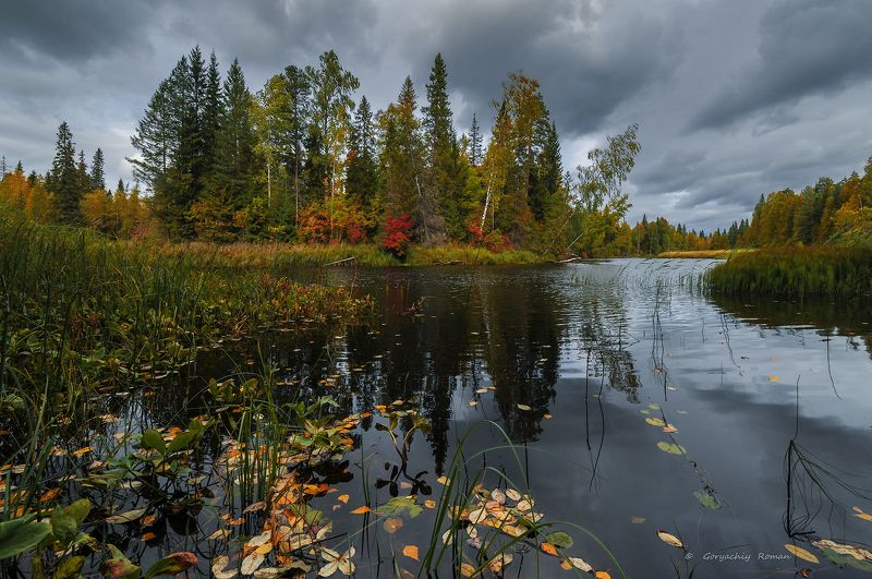 великий двор,вологодчина,кема,север,осень, *** фото превью