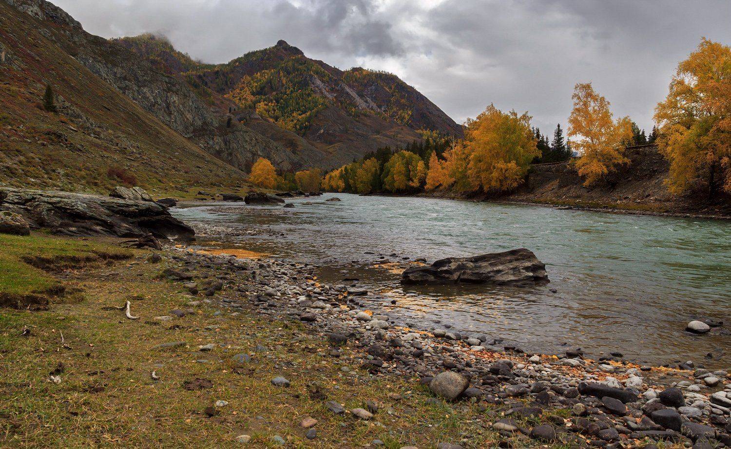 , Дмитрий Д.