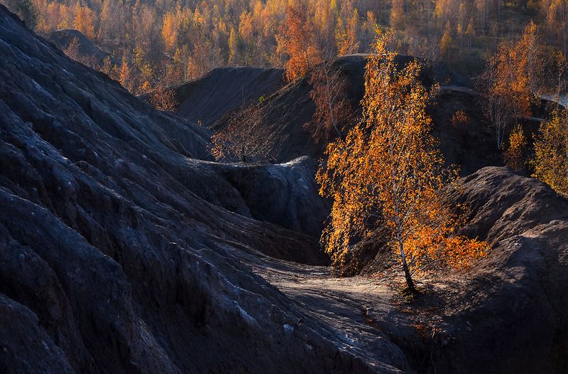 ... фото превью