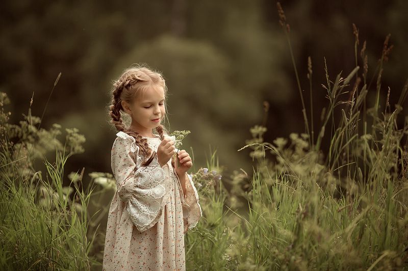 Теплый летний вечер фото превью