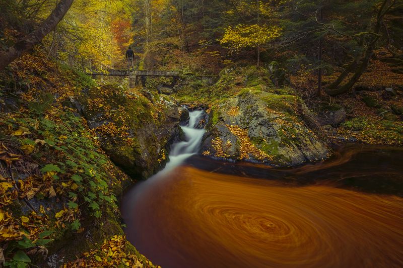Autumn in an Stara planina... фото превью