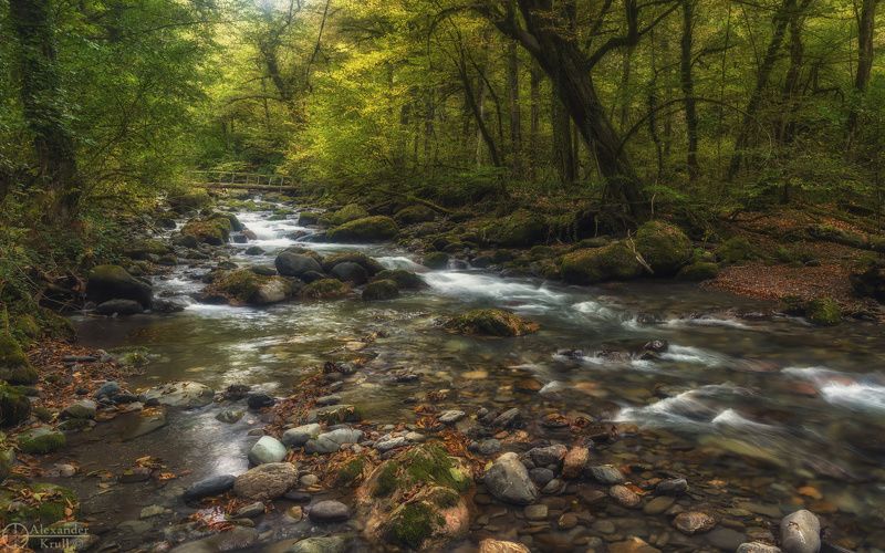 Заповедная Чвижепсе... фото превью