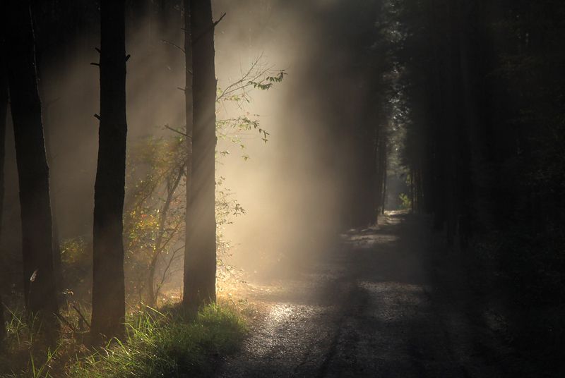 ... фото превью