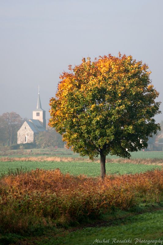 autumn, , tree, , church, , colors, , leaves, , fall, , misty Autumn - why is it this way?... фото превью