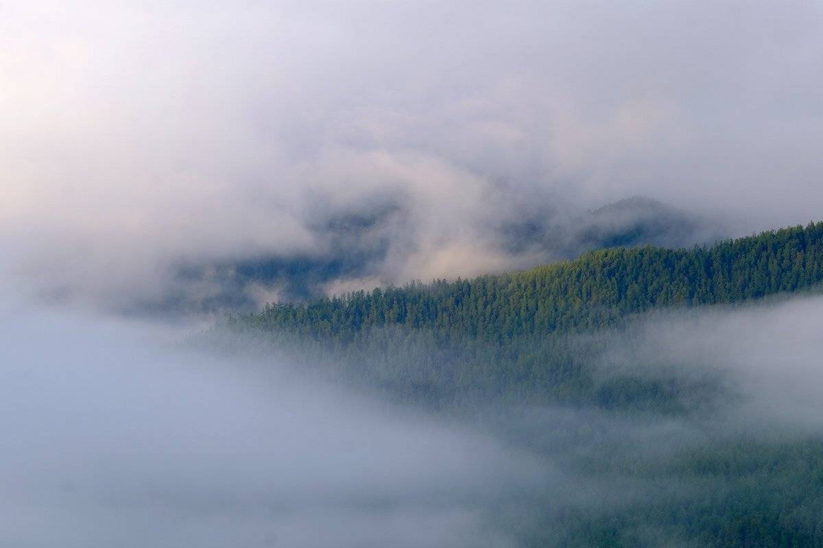 , Ольга Челдыкова