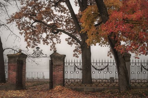 Октябрь в Царском селе