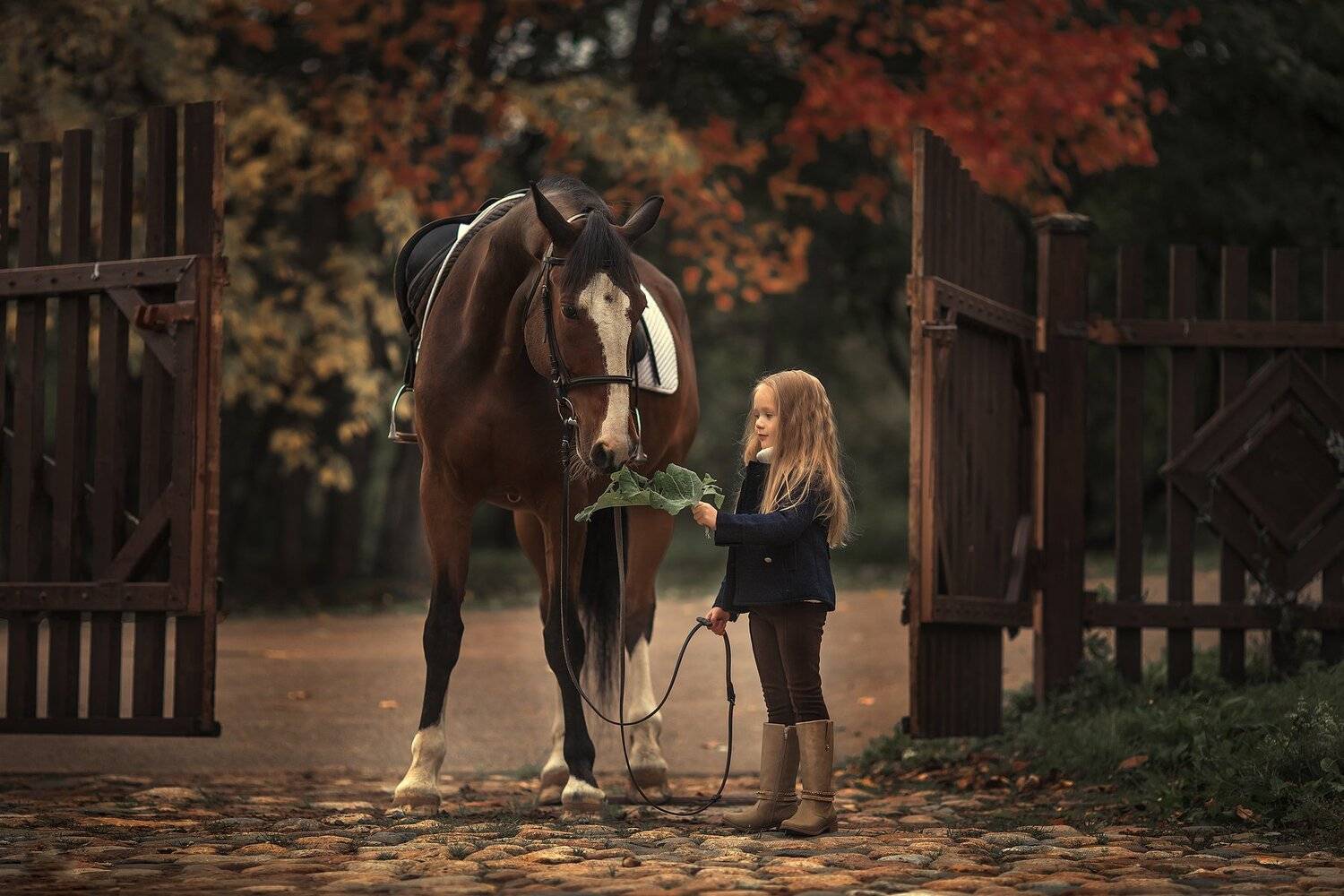 , Анюта Онтикова