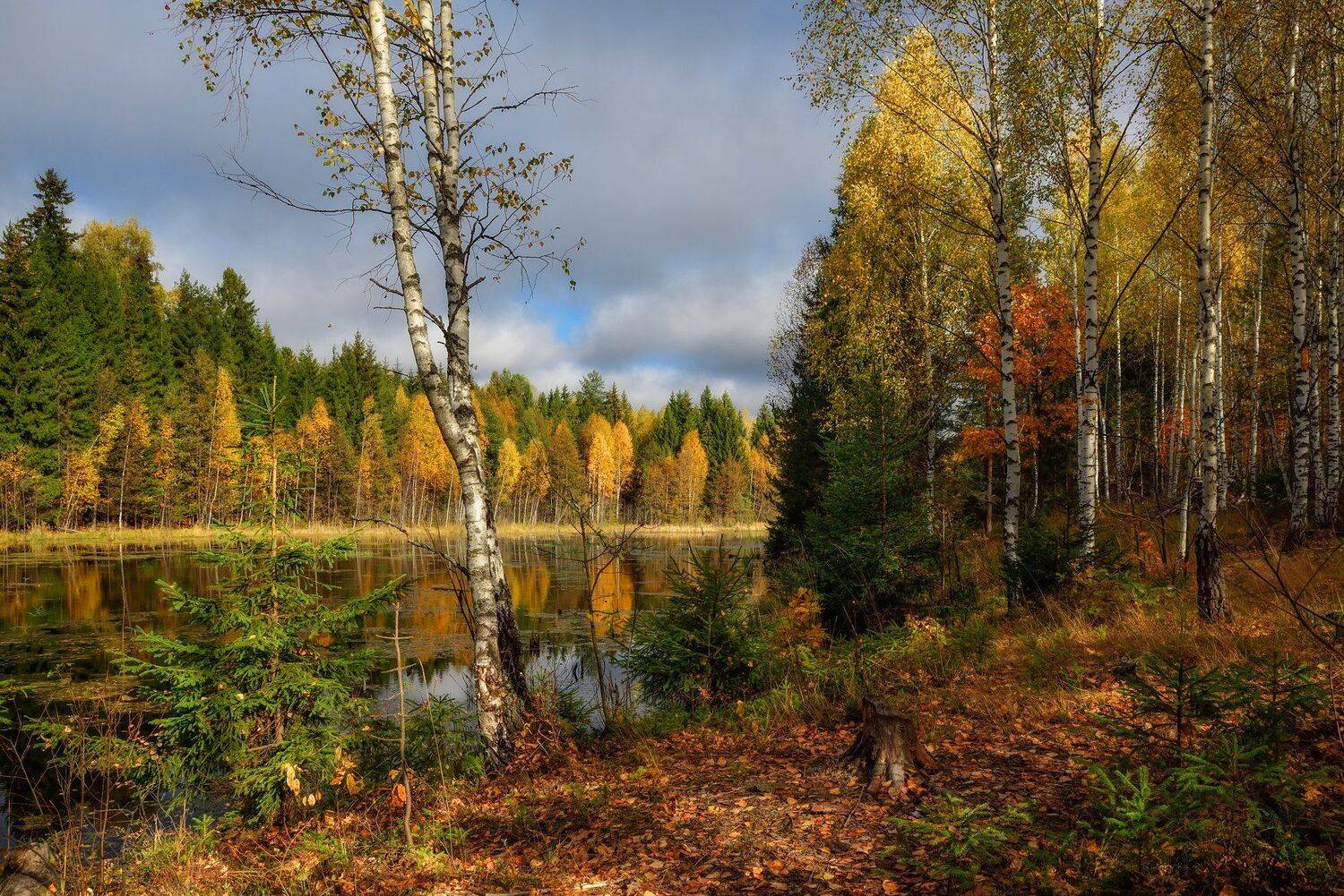 , Виталий Полуэктов