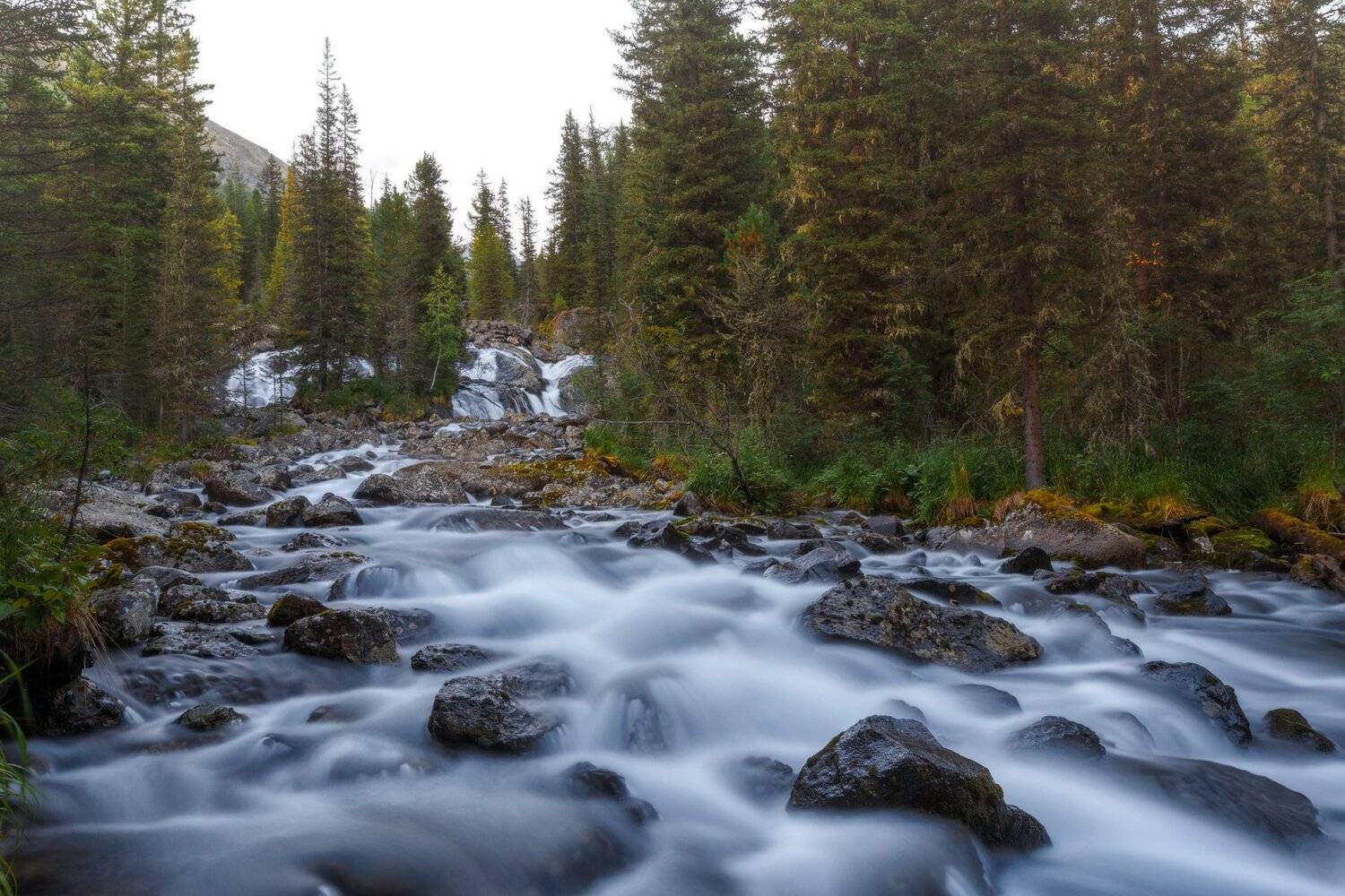 горы, облака, природа, алтай, рассвет, река, путешествие, россия, Шевченко Николай