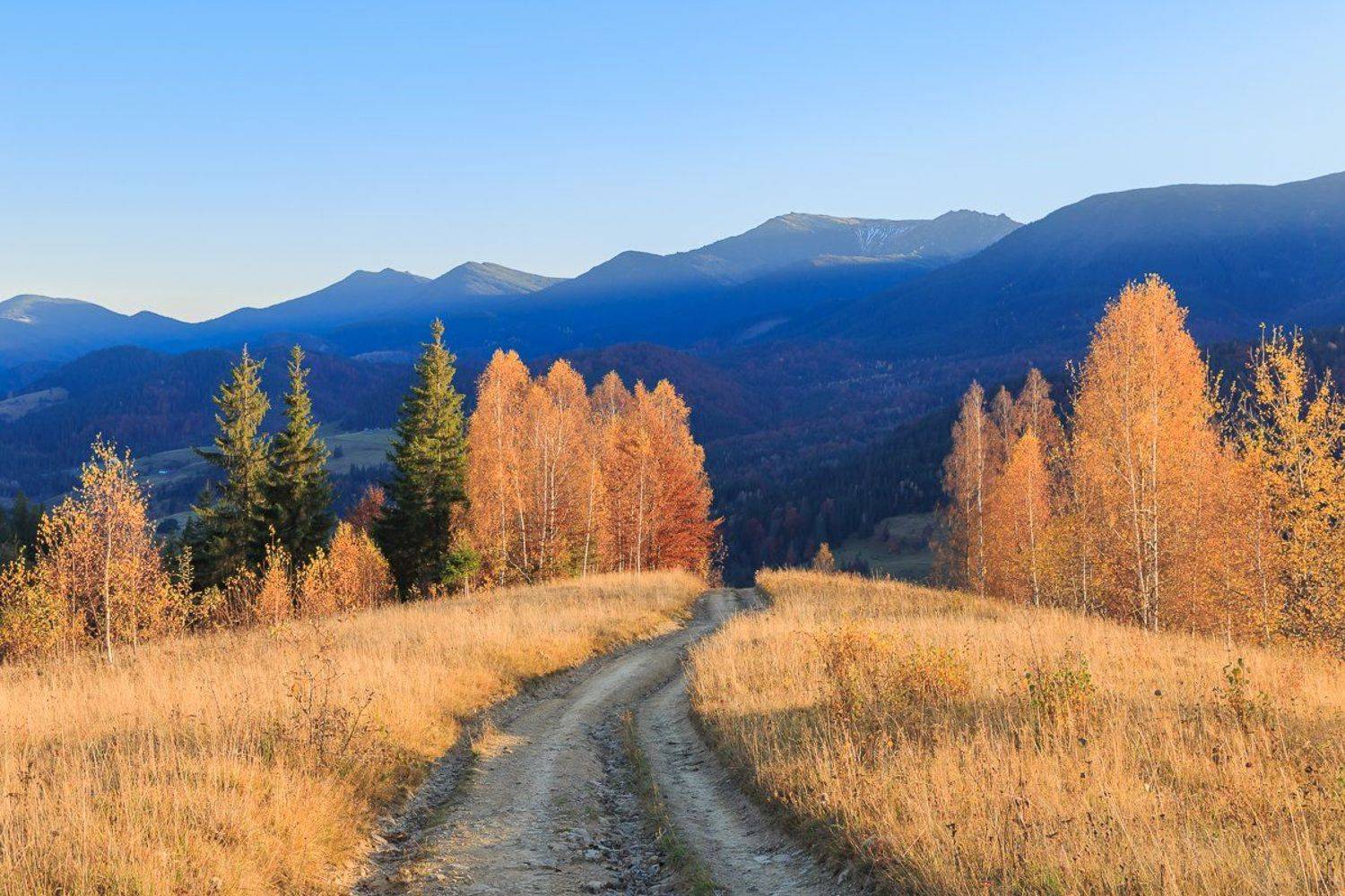 , Александр Подрез
