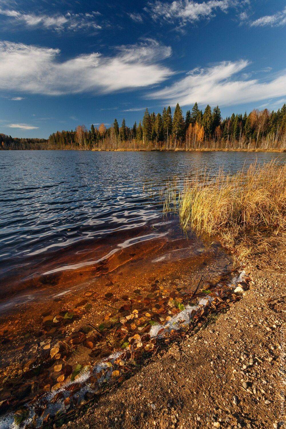 , Тимофей Шутов