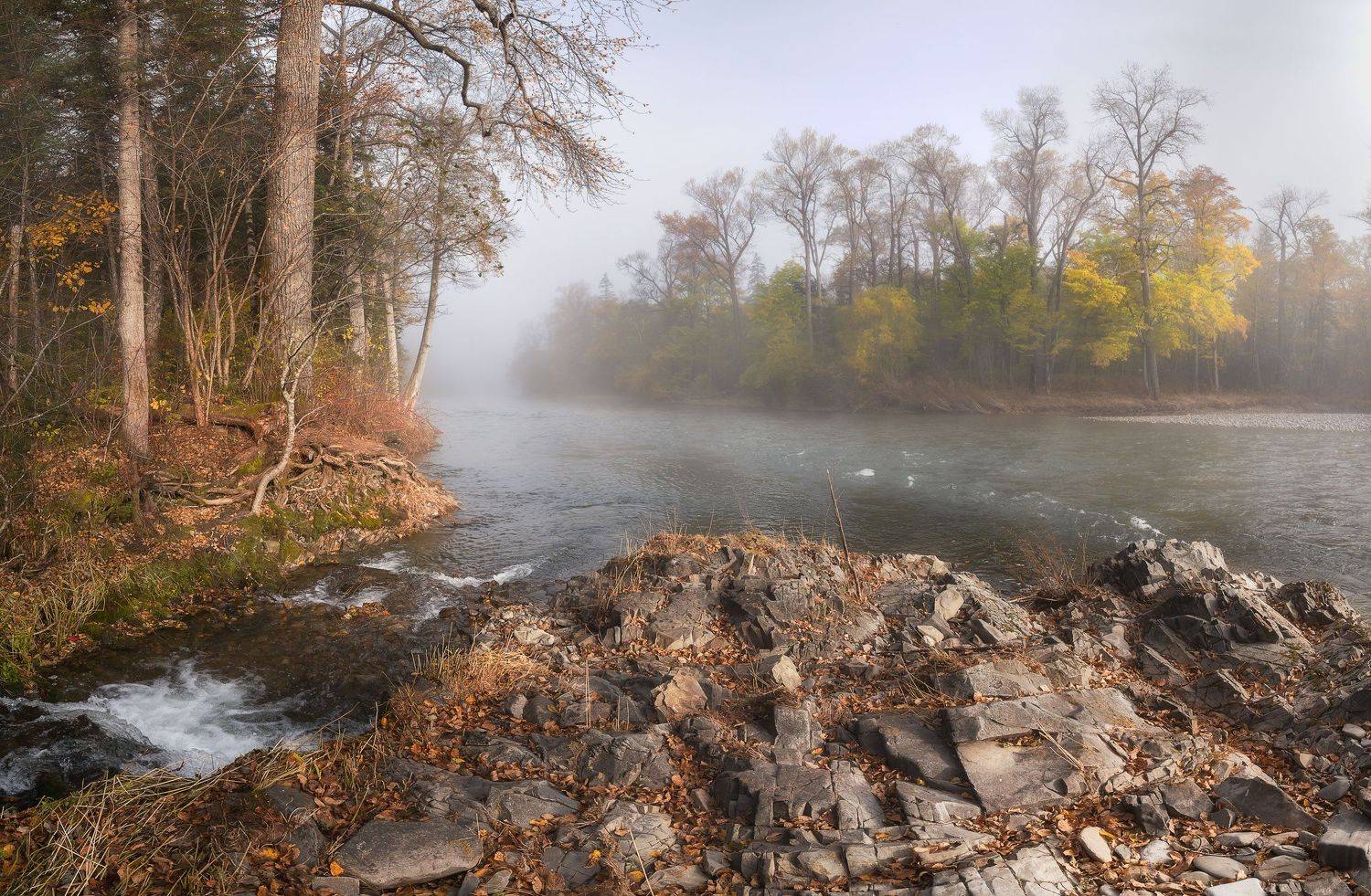 , Шинкарева Елена