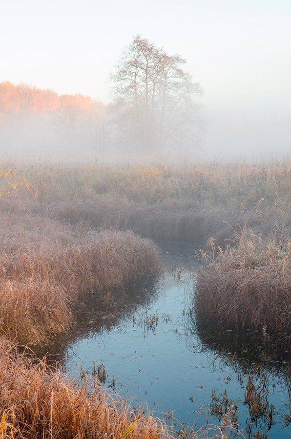 калужская обл., р. истья, Юсупов Александр