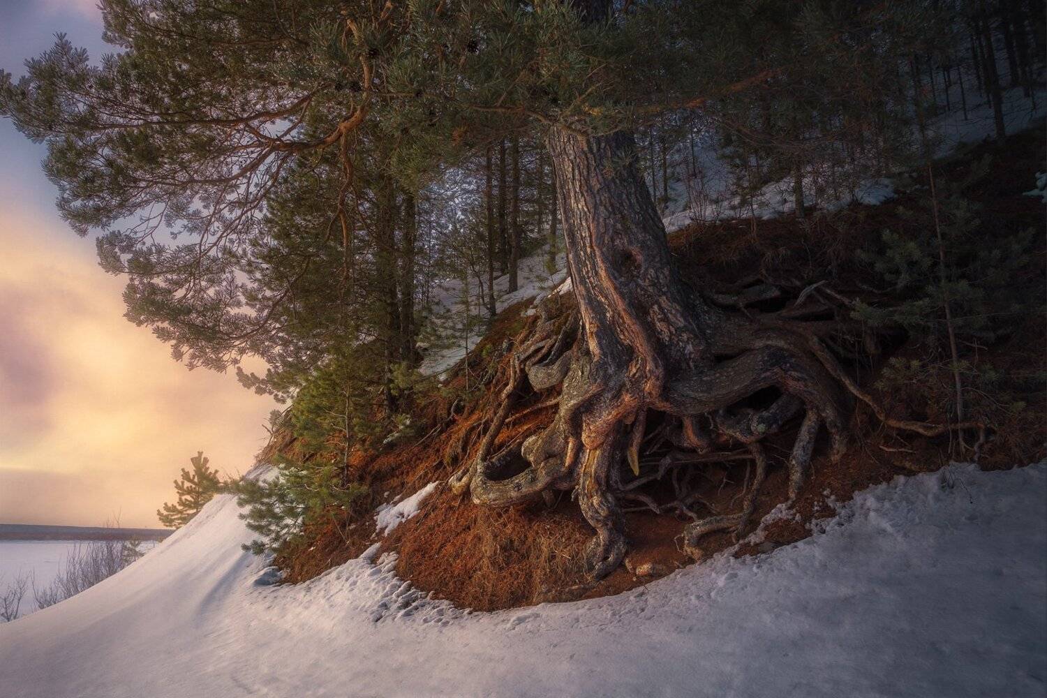 зима, весна, закат, лес, холм, мороз, снег, вечер, река, Смольский Евгений