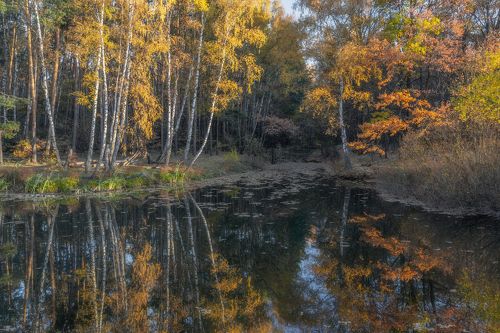 Волшебная осень