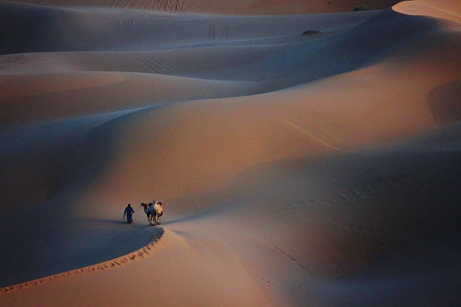 , Inkol Yu  유인걸