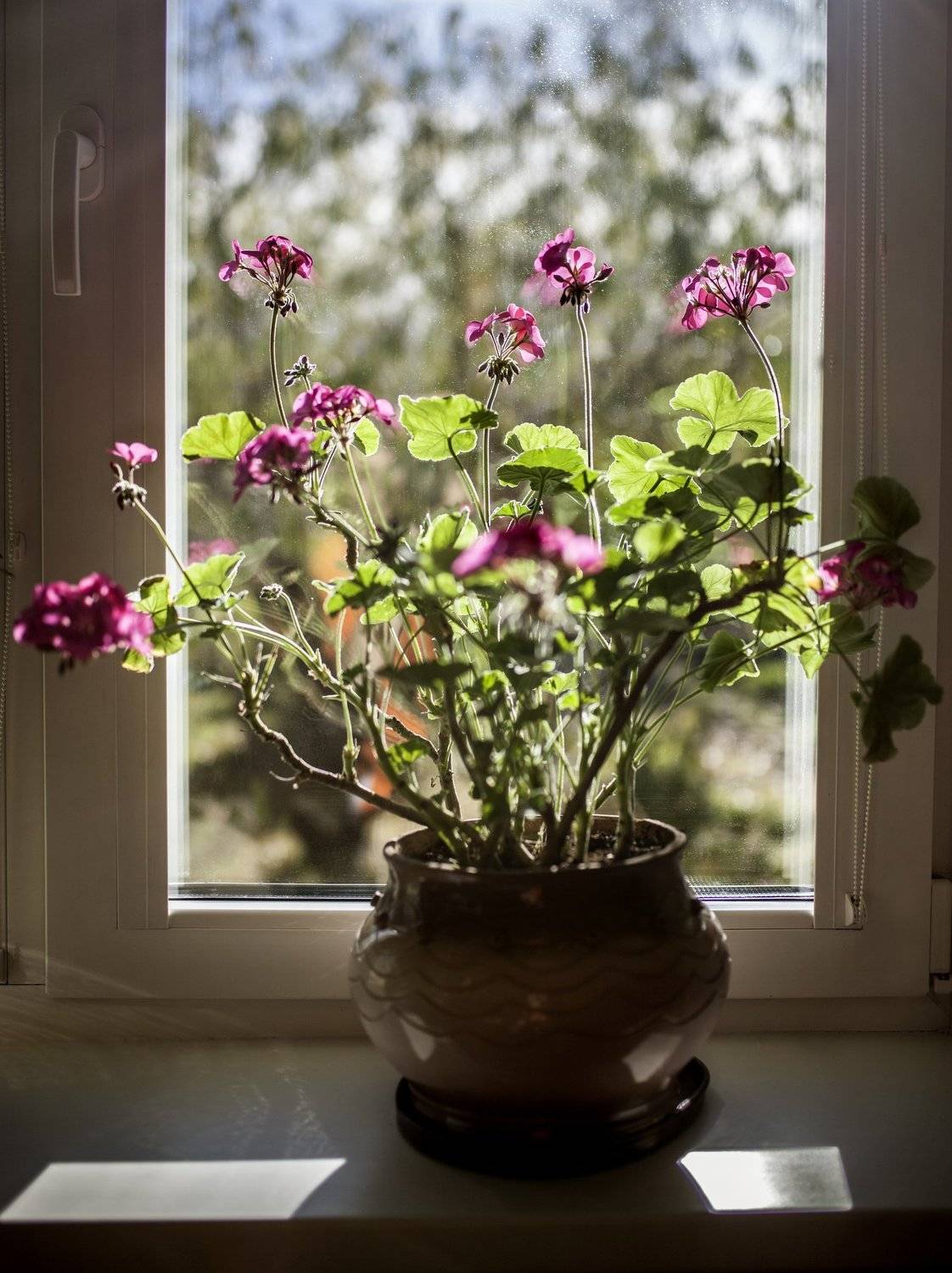 , Бахтин Вячеслав