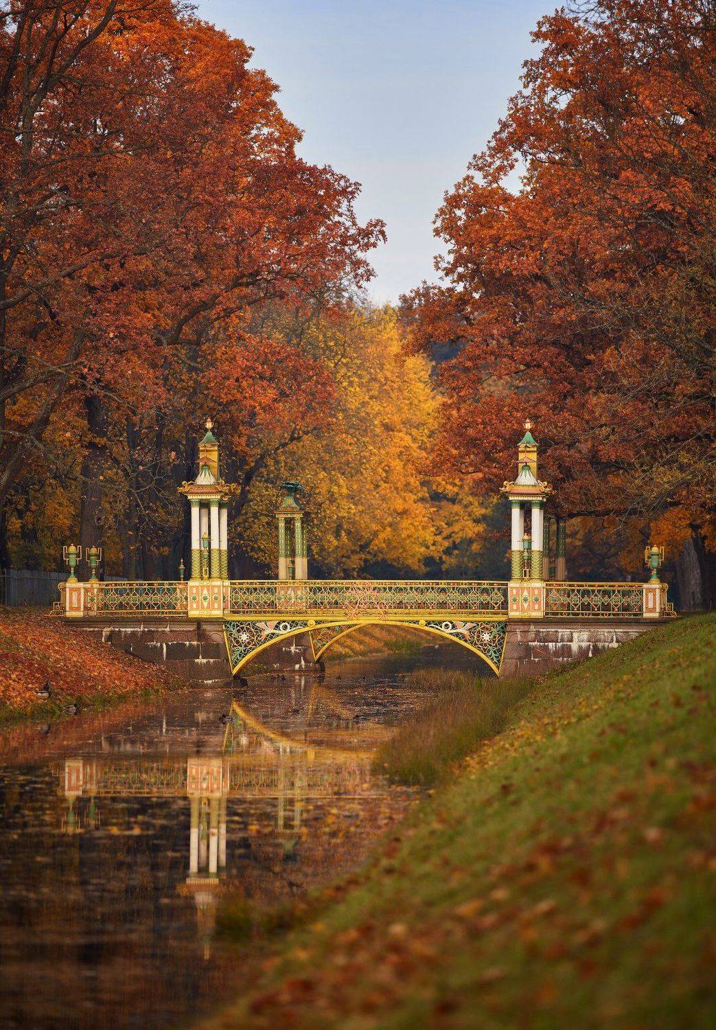 пушкин, царское село, парк, осень, листопад, октябрь, KrubeK