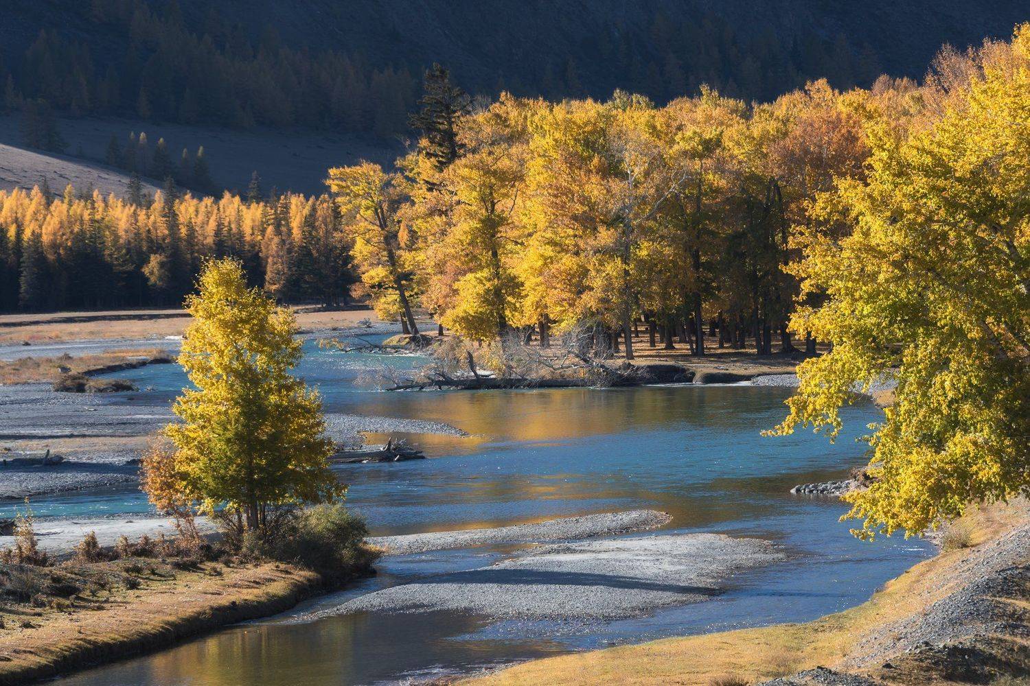 алтай, река, осень, россия, Марина Маликова