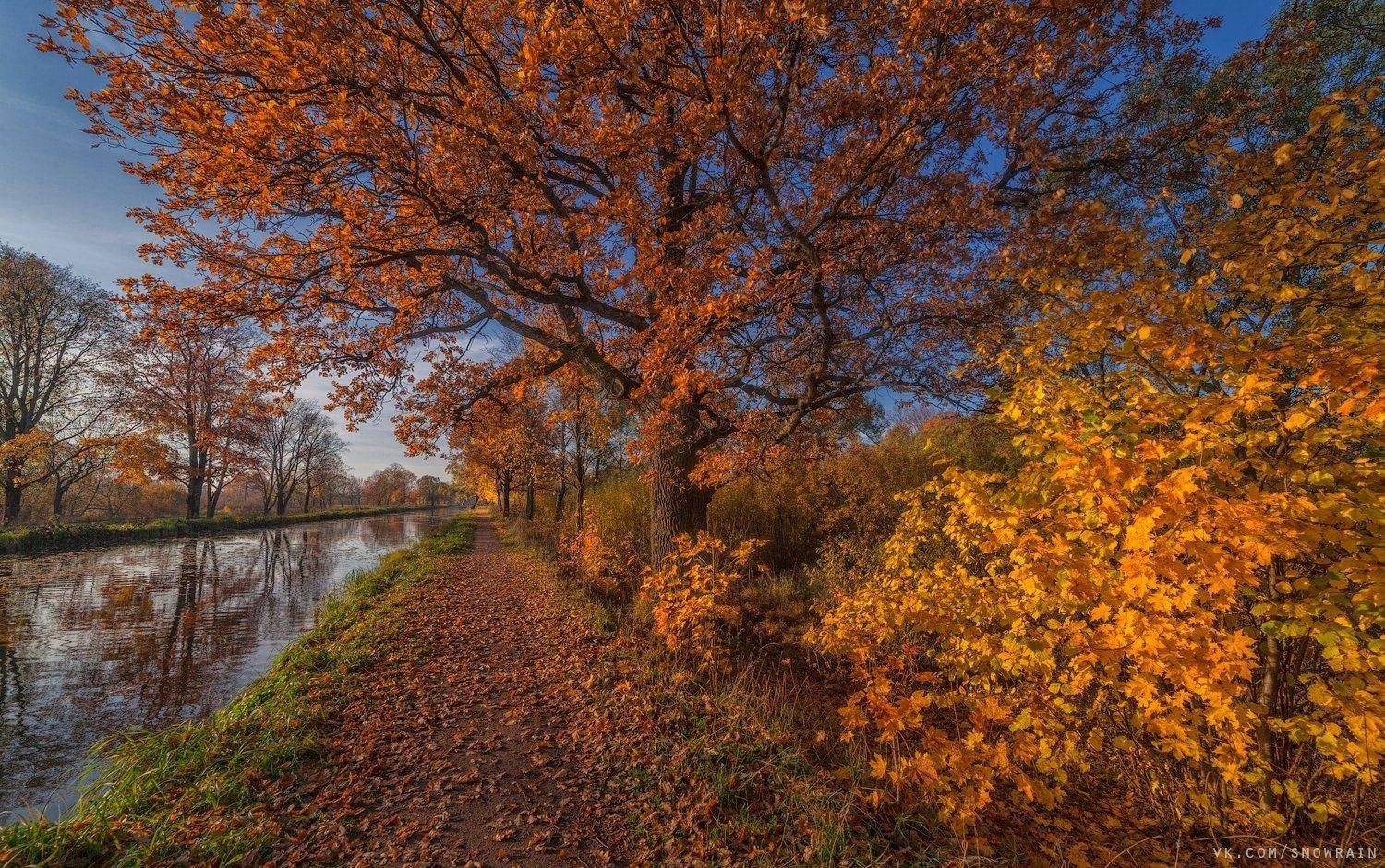 пейзаж, природа, путешествия, travel, wildlife, nature, landscape, canon, осень, autumn, colours, Snowrain