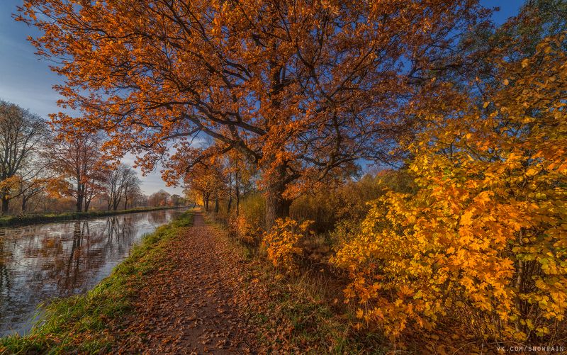 пейзаж, природа, путешествия, travel, wildlife, nature, landscape, canon, осень, autumn, colours *** фото превью