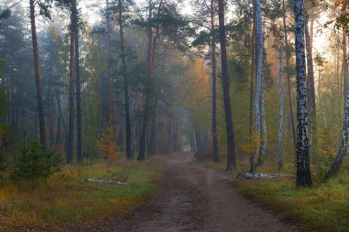 Есть своя бездонность в тишине такой
