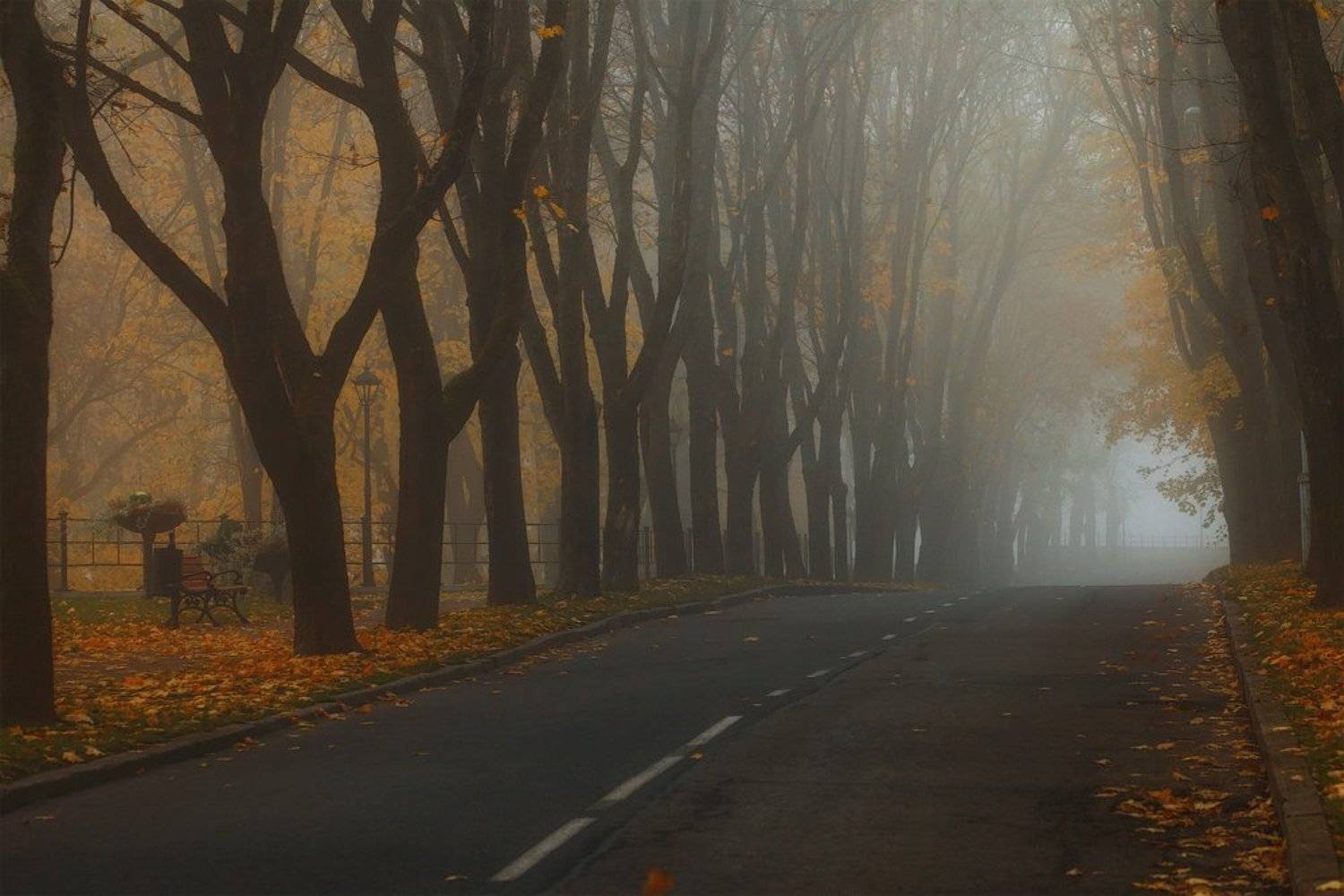 осень, утро, нарва, Aleksandr Kljuchenkow