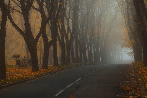 Осень