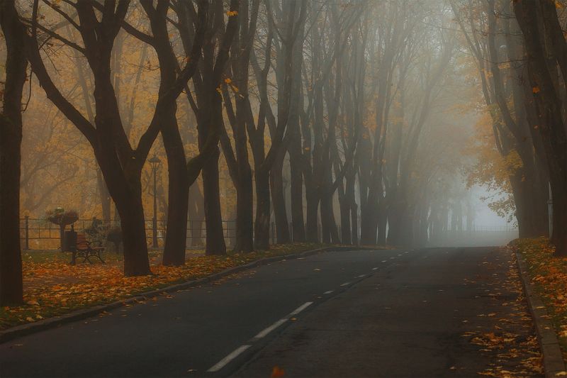 осень, утро, нарва Осень фото превью