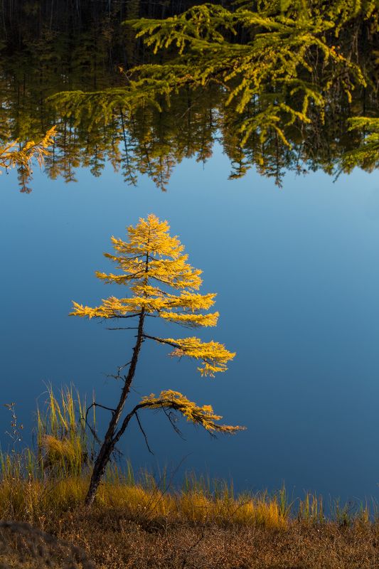 КРАЙ. фото превью